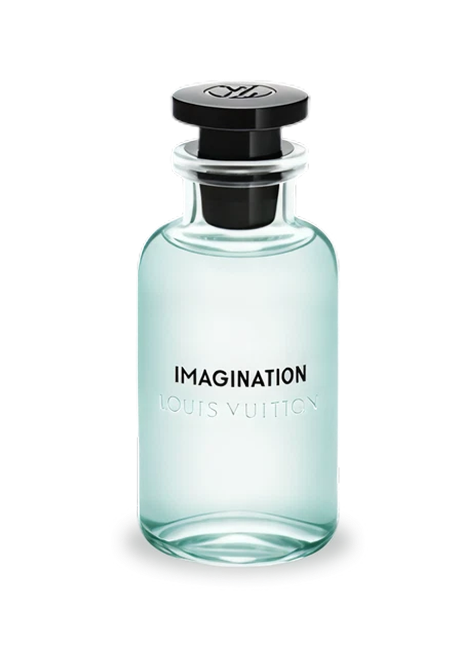Louis Vuitton Imagination Sample